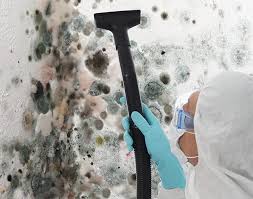 Mold Remediation for Rental Properties in Maywood, CA